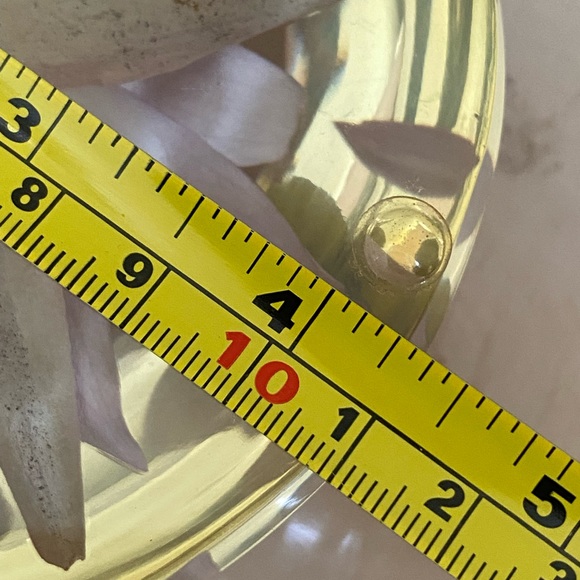 Vintage Lucite Dried Flower Domed Desk Paperweight Clear Plastic Acrylic Decor - Picture 12 of 14